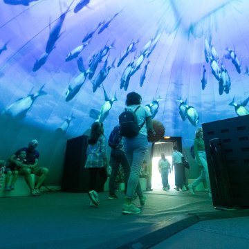 L'Expo